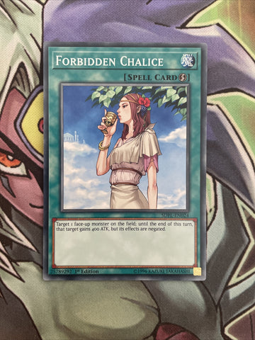 SDPL-EN024 Forbidden Chalice Common 1st Edition NM Yugioh Card