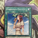 SDPL-EN024 Forbidden Chalice Common 1st Edition NM Yugioh Card