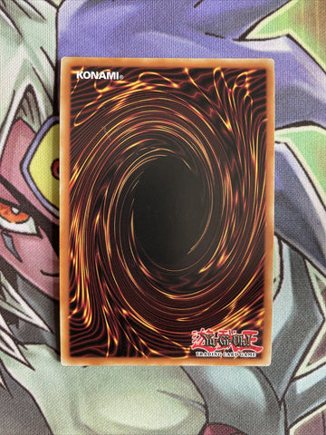 DPBC-EN021 Red-Eyes B. Dragon Super Rare 1st Edition NM Yugioh Card (back)