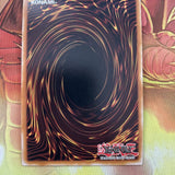 SDSH-EN002 Reeshaddoll Wendi | 1st Edition | Super Rare Card YuGiOh TCG Showdown