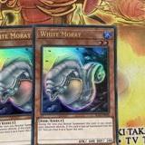 BLLR-EN018 x3 WHITE MORAY YUGIOH CARDS