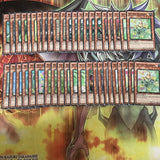 Deck Naturia Yugioh 44 Cards