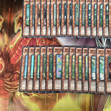 Deck Naturia Yugioh 44 Cards