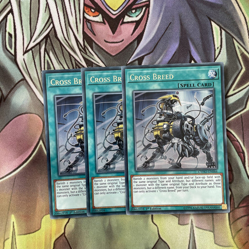 CYHO-EN066 x3 Cross Breed Rare Excellent Condition Yugioh