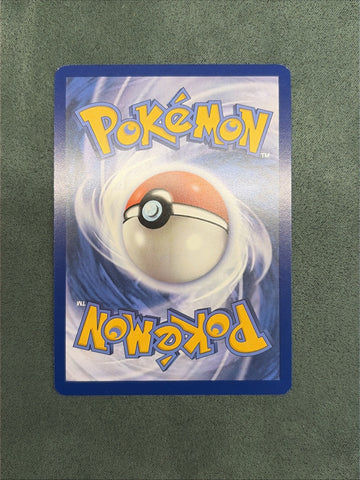 Pokémon Squirtle 148/142 Stellar Crown Illustration Rare Holo NM (back)