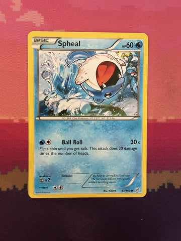 Pokemon Card Spheal Primal Clash Reverse Holo 45/160 Near Mint