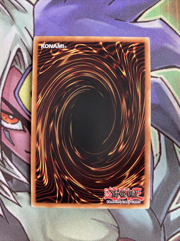 SDFC-EN023 Ronintoadin Common 1st Edition NM Yugioh Card (back)
