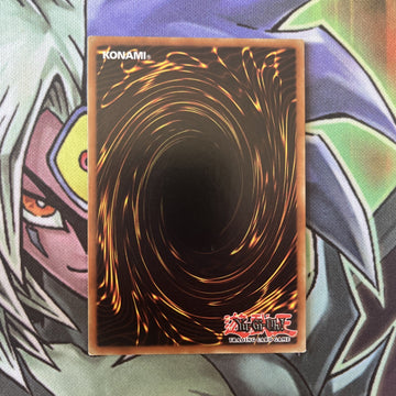DT03-EN019 Naturia Cliff Duel Terminal Ultra Rare Lim Edition NM Yugioh Card (back)