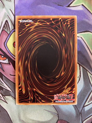 OP07-EN016 Zeradias, Herald Of Heaven Common UNL Edition NM Yugioh Card (back)