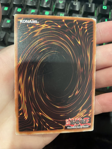 SDZW-EN014 Marionette Mite Common 1st Edition Moderately Played Yugioh Card (back)