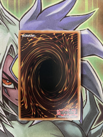 LED9-EN033 Marincess Coral Triangle Ultra Rare 1st Edition NM Yugioh Card (back)