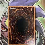 LED9-EN033 Marincess Coral Triangle Ultra Rare 1st Edition NM Yugioh Card