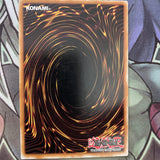 DB2-EN102 Needle Worm Common Unlimited Edition NM Yugioh Card