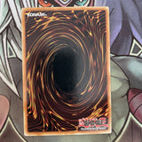 DLG1-EN019 Left Leg Of The Forbidden One Common UNL Edition NM Yugioh