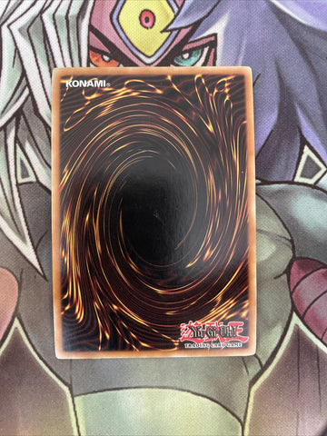 RYMP-EN037 Destiny Draw Secret Rare 1st Edition NM Yugioh (back)
