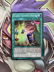 Smirking Gnome