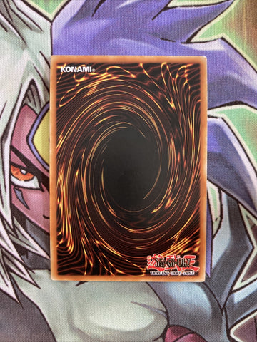 AP02-EN010 Harpie's Hunting Ground Super Rare UNL Edition NM Yugioh Card (back)