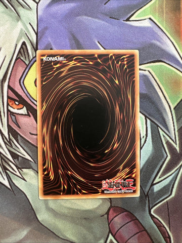 AP08-EN019 Red-Eyes Wyvern Common Unlimited Edition NM Yugioh Card (back)