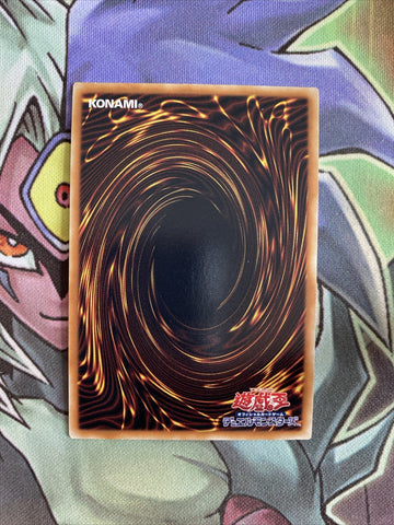 RGBT-JP040 Exploder Dragon Ultra Rare Unlimited Edition NM Yugioh Card (back)