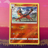 Pokemon Card Torracat Shining Legends Reverse Holo 16/73 Near Mint