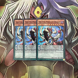 PEVO-EN023 x3 Odd-Eyes Pendulum Dragon Super Rare Excellent Condition Yugioh