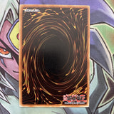 GLD3-EN006 Amazoness Swords Woman Common Limited Edition NM Yugioh Card