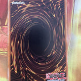 PTDN-EN024 Shadowpriestess of Ohm Rare mixed Editions YuGiOh