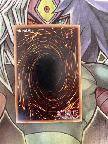 NECH-EN053 Dark Rebellion XYZ Dragon Secret Rare 1st Edition NM Yugioh (back)