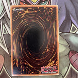 NECH-EN053 Dark Rebellion XYZ Dragon Secret Rare 1st Edition NM Yugioh