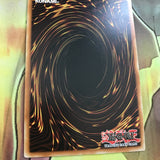 PTDN-EN082 Darknight Parshath Ultra Rare Unl Edition YuGiOh