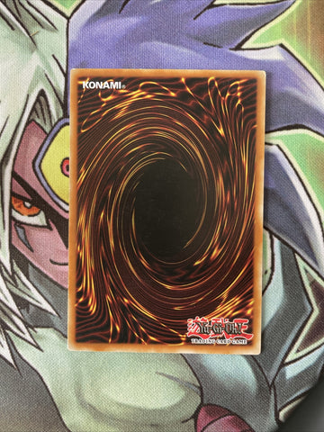 SP18-EN006 Draconnet Common Starfoil 1st Edition Near Mint YuGiOh Card (back)