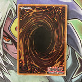 SP18-EN006 Draconnet Common Starfoil 1st Edition Near Mint YuGiOh Card