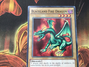AP05-EN014 BLACKLAND FIRE DRAGON PROMO COMMON SHORT PRINT NM Yugioh (back)