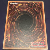 Dark Magician Girl the Dragon Knight DRLG-IT004 Secret 1st Ed ITALIAN Yugioh