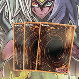 HA07-EN017 x3 Evigishki Levianima Secret Rare Excellent Condition Yugioh
