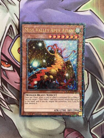 HAC1-EN062 Misty Valley Apex Avian Duel Terminal Ultra 1st Ed NM Yugioh Card