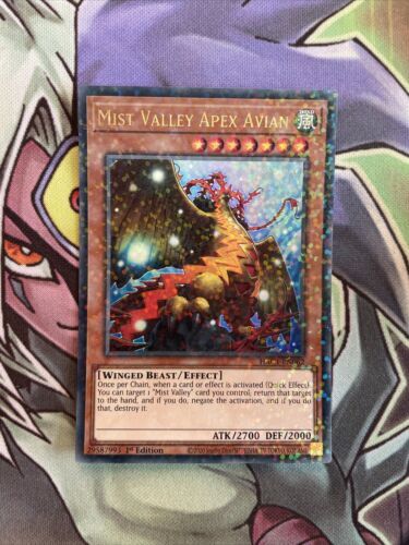 HAC1-EN062 Misty Valley Apex Avian Duel Terminal Ultra 1st Ed NM Yugioh Card