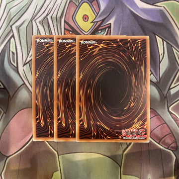 NKRT-EN013 Lady Of The Lake Platinum Rare x3 Excellent Condition Yugioh (back)