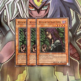 SDP-014 x3 Witch of the Black Forest Common Excellent Condition Yugioh