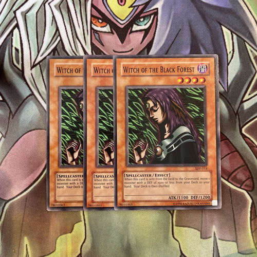 SDP-014 x3 Witch of the Black Forest Common Excellent Condition Yugioh