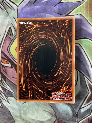 BLHR-EN047 Harpie Conductor Secret Rare 1st Edition NM Yugioh Card (back)