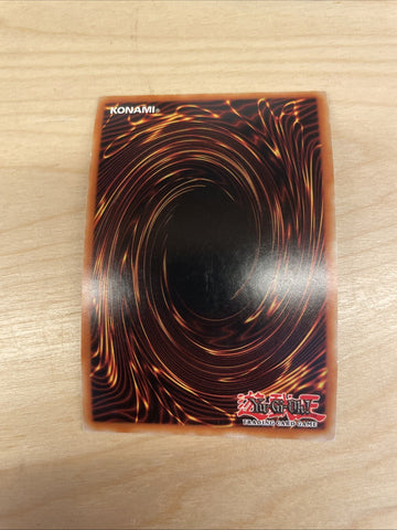 BLHR-EN083 Shaddoll Beast Yu-Gi-Oh! (back)