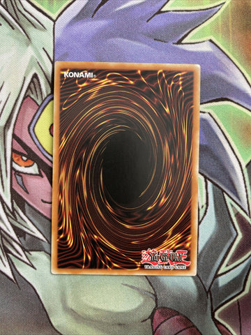 PRIO-EN036 Beautunaful Princess Rare 1st Edition NM Yugioh Card (back)