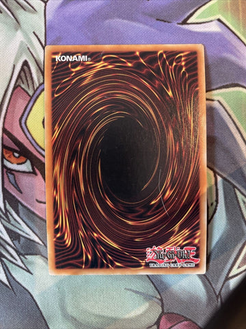 BODE-EN013 Floowandereeze & Robina Super Rare 1st Edition NM Yugioh Card (back)