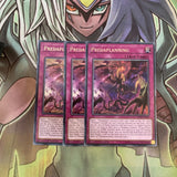 LED5-EN049 x3 Predaplanning Rare Excellent Condition Yugioh