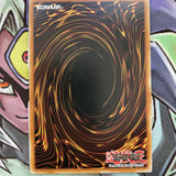 BP01-EN115 Insect Knight Starfoil Rare UNL Edition Near Mint Condition Yugioh