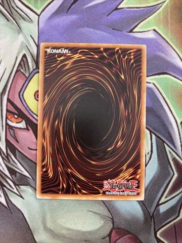 BP03-EN050 Herald Of Orange Light Common 1st Edition NM Yugioh Card (back)