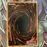 OP23-EN022 T.G. Hyper Librarian - Common - NM Yugioh Card