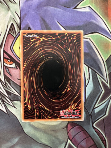 SESL-EN026 Rikka Sheet Secret Rare 1st Edition NM Yugioh Card (back)