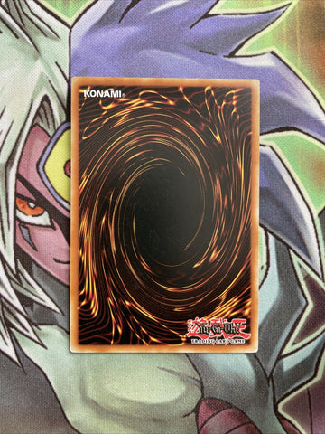 TDIL-EN042 Fairy Tail - Snow Common 1st Edition NM Yugioh Card (back)